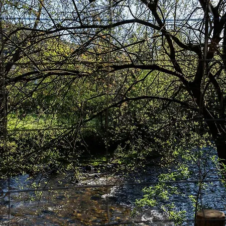 De 2 En La Naturaleza Del Rio Ason